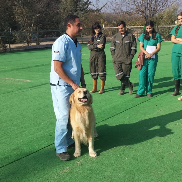 Salida a terreno de estudiantes de Medicina Veterinaria Universidad Mayor